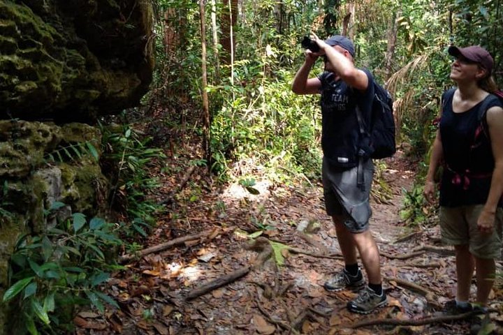 Malaysia a Pristine Excursion in Sarawak Jungle 9 Days